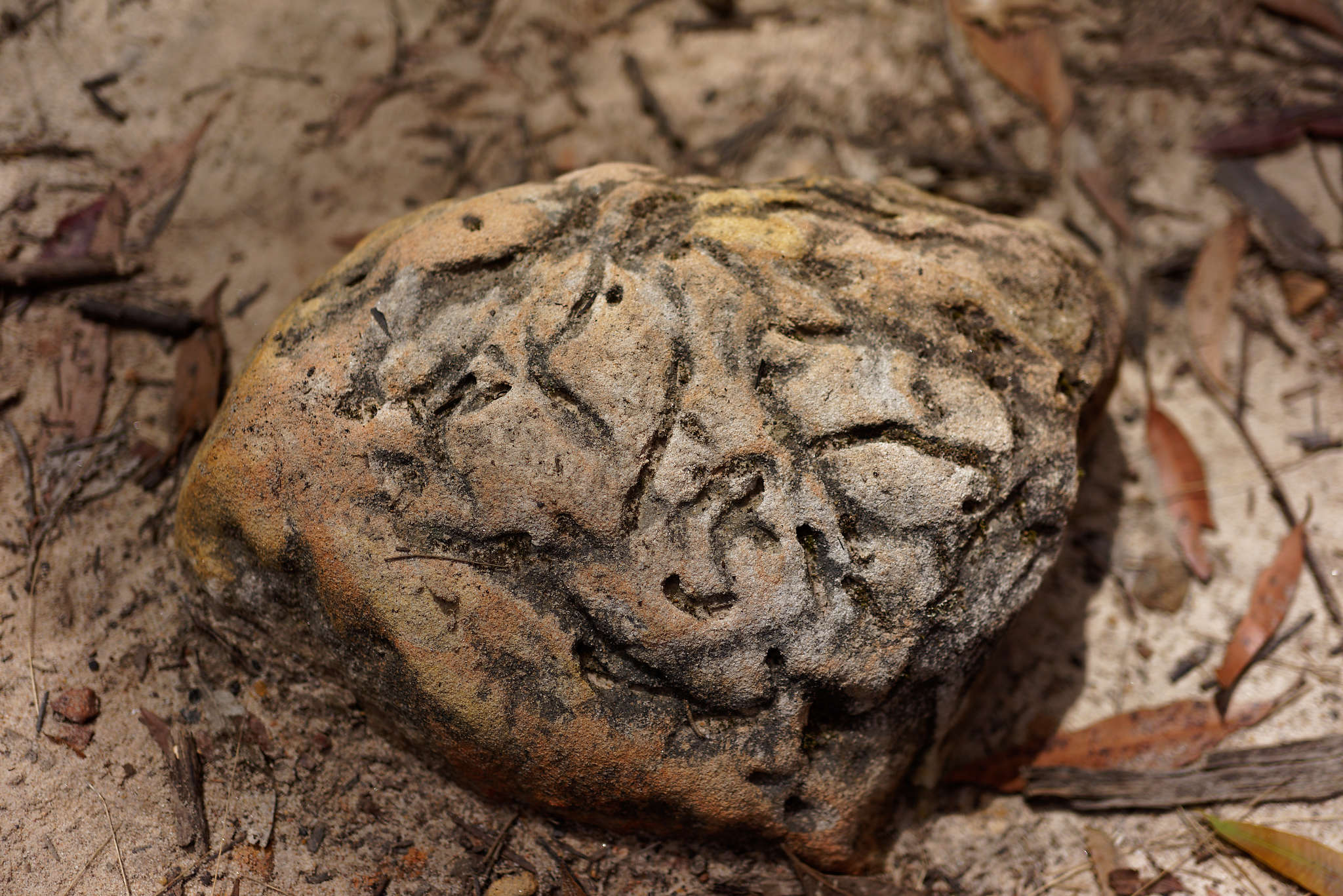 The Face in the Stone