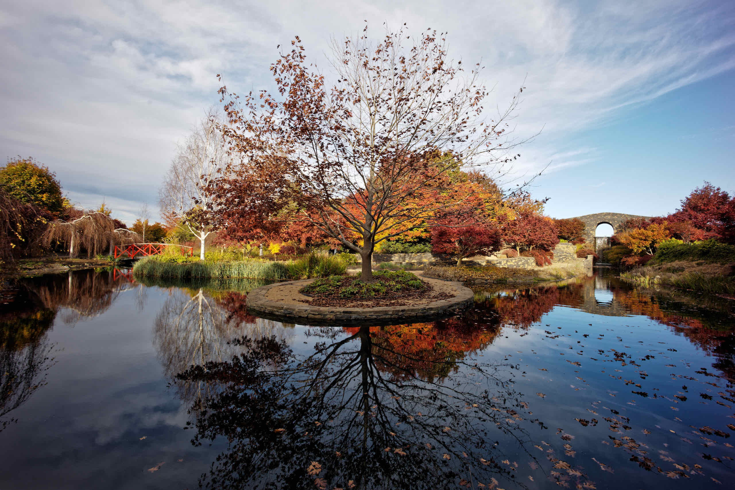 Tree Reflection