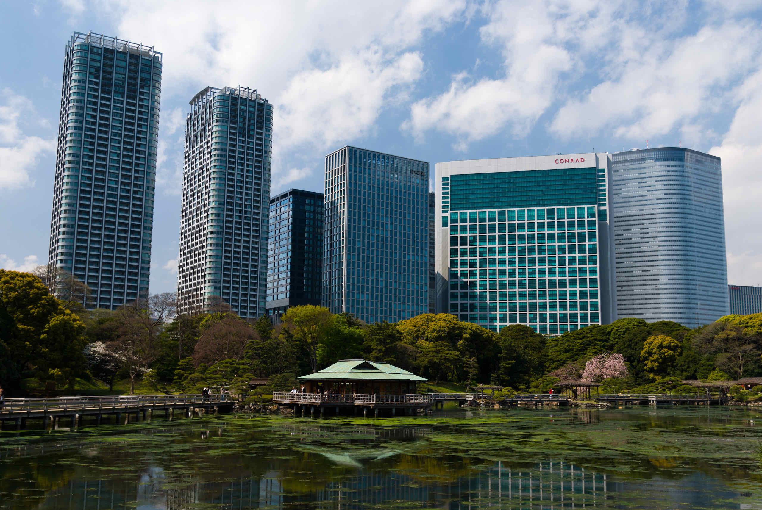 Japan: Hamarikyu Garden