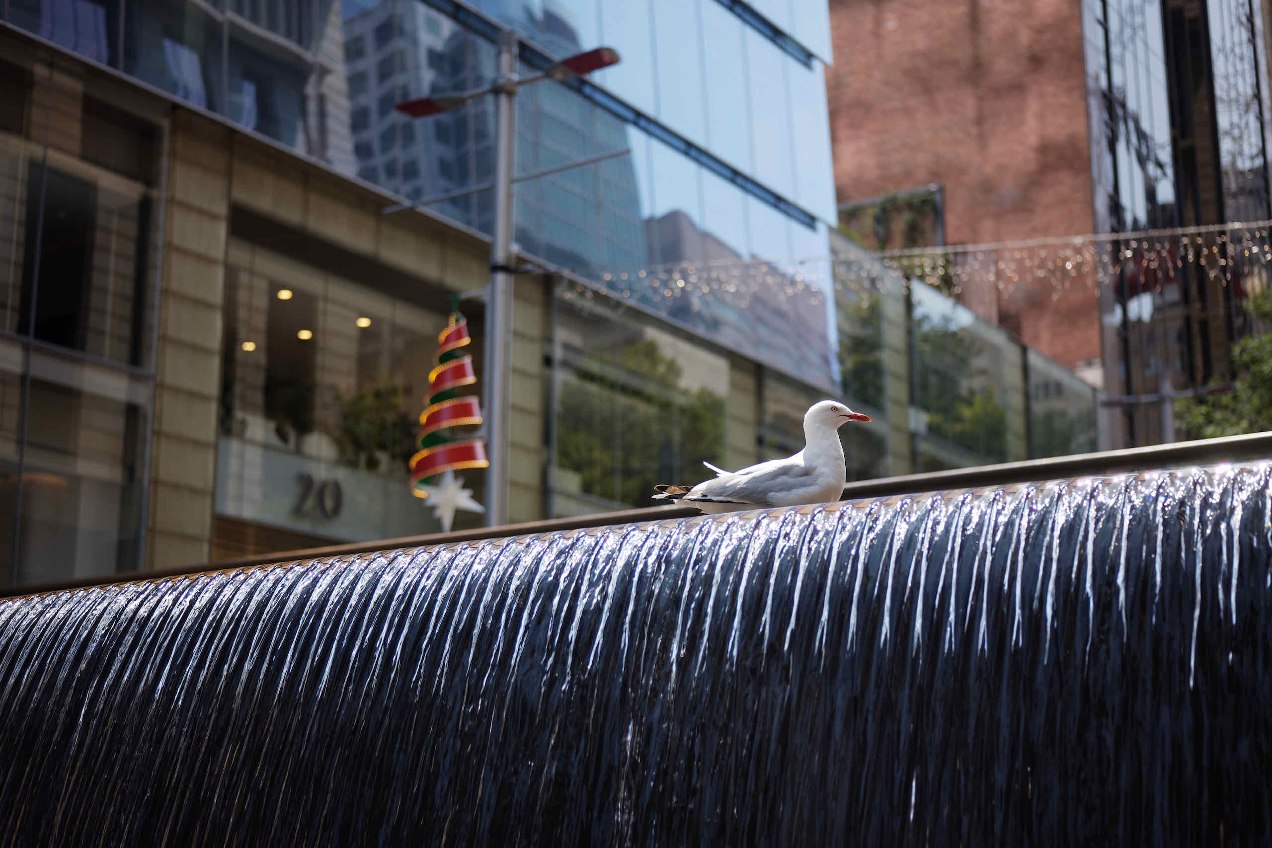 Sydney street photography with the Voigtländer Heliar 50mm/1:3.5 and Leica M10