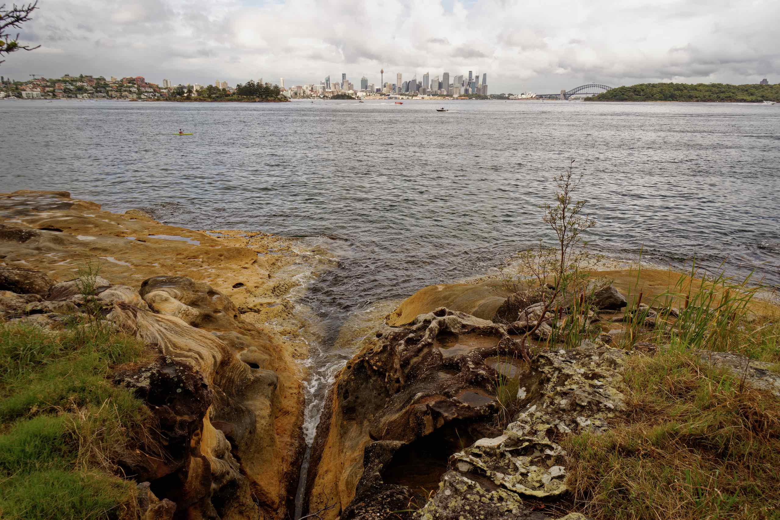 Draining Sydney Harbour